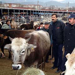 İbadetinizde samimi olun
