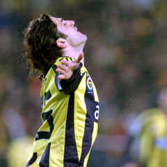 Yer sarı, gök lacivert