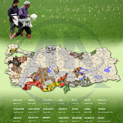 Tarımın başkentleri