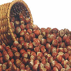 Giresun Ticaret Borsası