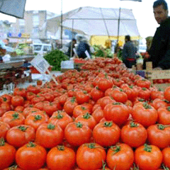 Kuraklık kaybı yüksek oldu
