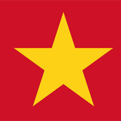 Vietnam'da özel jet
