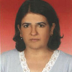 DTP li vekile iki fezleke birden