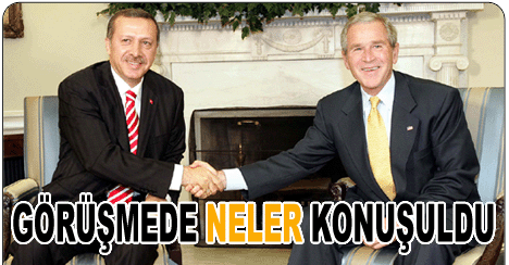 ERDOĞAN BUSH GÖRÜŞMESİNDE NELER KONUŞULDU
