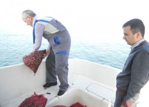 İzinsiz Sevkiyatı Yapılan 2 Ton Akivadese El Koyuldu