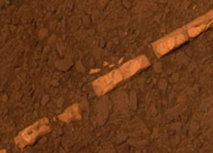 Mars'a Yerleşecek Gönüllüler Aranıyor