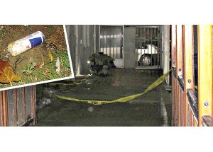 Akit’e Bombalı Saldırı