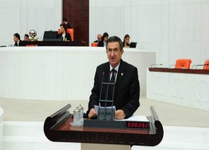 Telef Olan Hayvanlar Meclis Gündeminde
