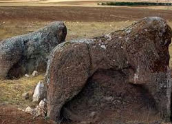 Kayıp şehir aranıyor