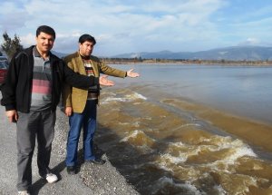 Büyük Menderes taştı, Söke Ovası su altında kaldı