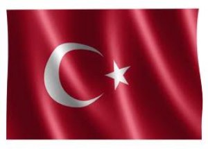PKK Bayrağı Çizen Dövmeciye Hapis