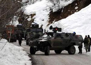 Tunceli'de PKK operasyonu