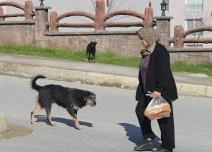 Rusya'nın en şanslı kazazedesi