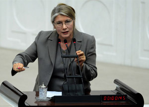 Meclis’te ‘Irkçılık’ Tartışması