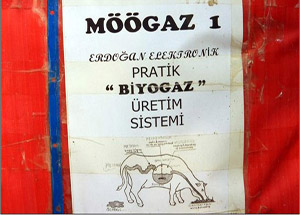 Hayvan gübresinden ‘Möögaz’ üretti