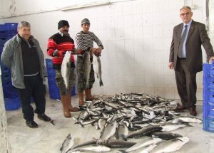 Balık İçin "Borsa" Talebi