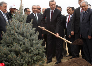 Ağaçlandırma Seferberliği Baltalanıyor