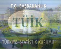 TÜİK verilerinin finansal değerleri açıklandı