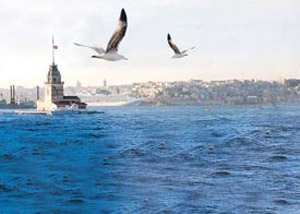 Marmara Denizi'nde Köpekbalığı Avı