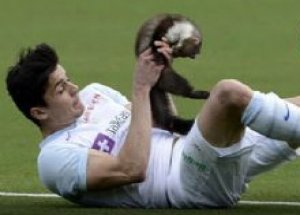 Sansar Sahaya Girdi, Futbolcuyu Isırdı