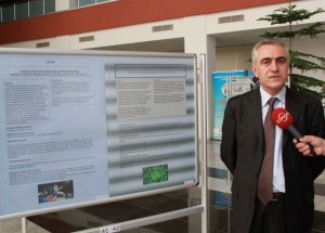Isırgan otu artık yakmayıp ısıtacak