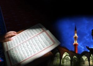 Şifa Kaynağı Bitkiler