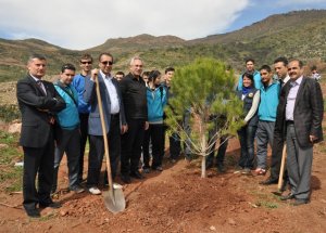 iki yıl önce yanan alana 1 milyon fidan dikildi