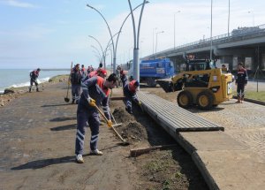 Dalgaların vurduğu sahil temizledi