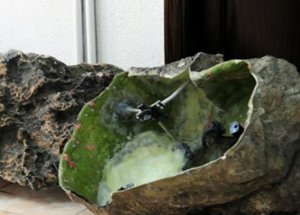 İsrail, Rus Gemilerini İzlemiş