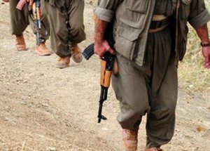 'PKK'lıları Biz Götürelim'