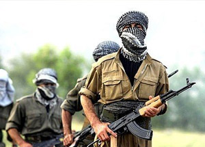 PKK'nın Elinde Kaç Vatandaşımız var?