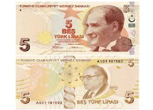 5 Lira Artık Bu Renk Olacak