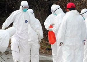 Kuş Gribi Hortladı mı?