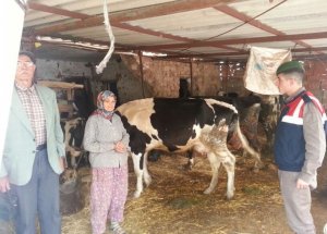 Kars'ta 9 köy karantinaya alındı