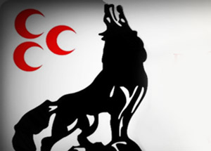 Ülkücü Camianın Bozkürtleri