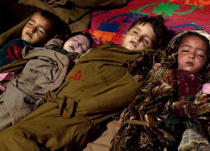 NATO Bebekleri Katletti