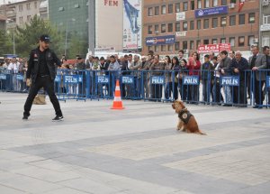 "Dünyanın Polisi Türkiye'de Yetişiyor"