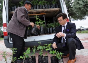 Topkapı Sarayı Gül Kokacak