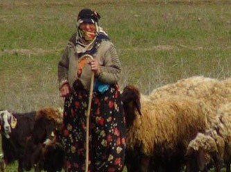 3.500 TL Maaşa Çoban Bulunamıyor