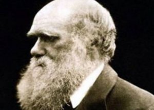 TÜBİTAK Darwin'i Bastı!