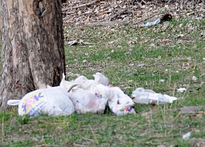 'Plastik Poşet Çevre Düşmanı, Kaldırılsın!'