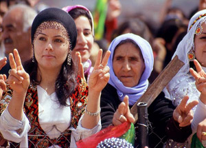 Türkiye'deki Kürt Sayısı