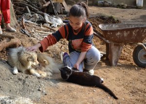 Kedi Ve Köpeğin Dostluğu Şaşırtıyor