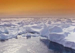 Beyaz Kıtada Kırmızı Alarm