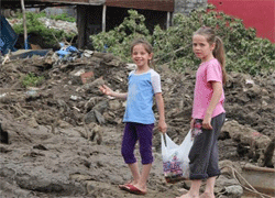 Sel gitti, hastalıklara dikkat