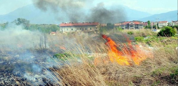 Kuş cenneti yangında kül oldu