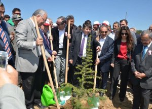 Gördes Tepelerine 250 Bin Fidan