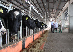 Bakan Şimşek'ten Çiftçilere Müjde