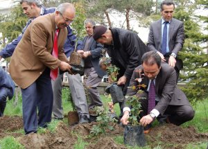 Tatvan’da “Gül Bahçesi” Oluşturuldu