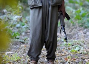 Muş'ta 3 PKK'lı Mühimmatla Ele Geçirildi